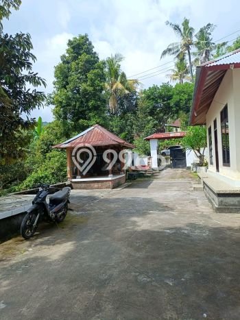 Rumah Luas Asri 2 KT Siap Huni di Lovina Buleleng Rumah Luas Asri 2 KT Siap Huni di Lovina Buleleng