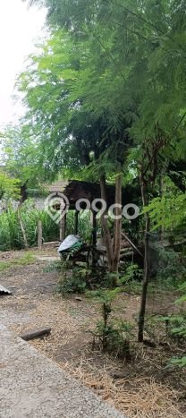 Lahan untuk Dijual di Gerokgak Buleleng Luas 900m2 Lahan untuk Dijual di Gerokgak Buleleng Luas 900m2