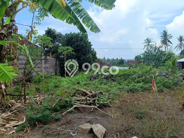Tanah Kavling Dijual di Lovina, Buleleng dengan Luas Tanah 500m2 Tanah Kavling Dijual di Lovina, Buleleng dengan Luas Tanah 500m2