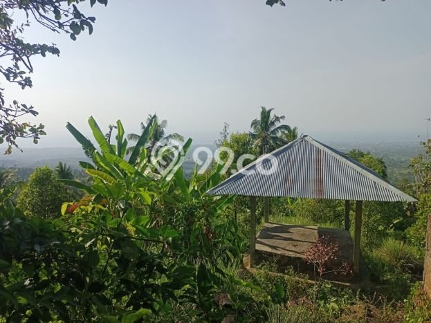 Dijual Tanah 4300m2 di Panji, Buleleng Dijual Tanah 4300m2 di Panji, Buleleng