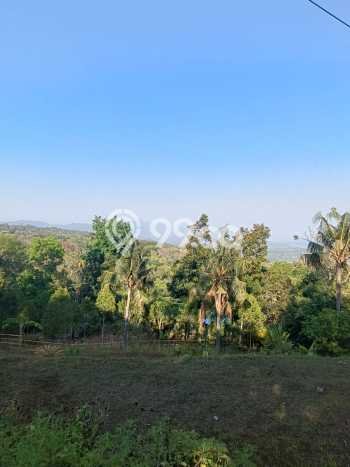 Lahan Dijual Lokasi Strategis di Buleleng dengan Luas 940m2 Lahan Dijual Lokasi Strategis di Buleleng dengan Luas 940m2