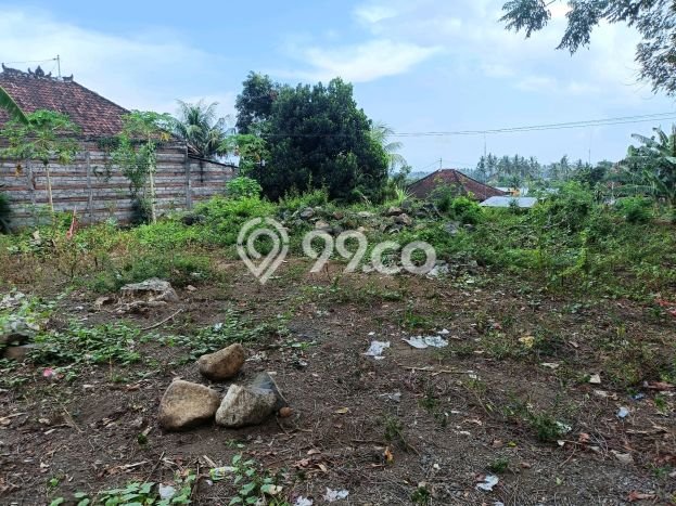 Tanah Kavling Dijual di Lovina, Buleleng dengan Luas Tanah 500m2 Tanah Kavling Dijual di Lovina, Buleleng dengan Luas Tanah 500m2