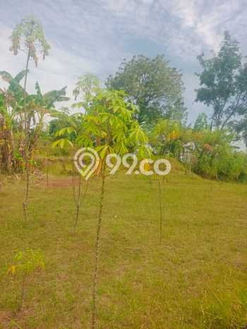 Lahan Dijual Lokasi Strategis di Buleleng dengan Luas 1200m2 Lahan Dijual Lokasi Strategis di Buleleng dengan Luas 1200m2