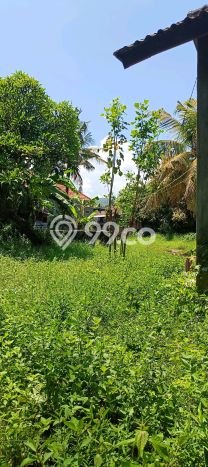 Untuk Dijual Tanah di Buleleng, Luas 1000m2 SHM Untuk Dijual Tanah di Buleleng, Luas 1000m2 SHM