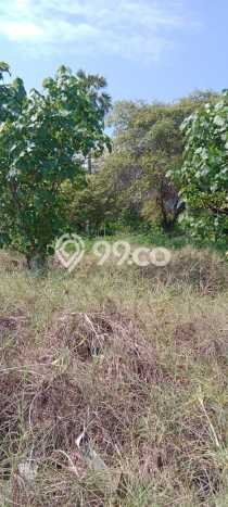 Kavling Tanah di Gerokgak Dijual Luas 25000m2 Legalitas SHM Kavling Tanah di Gerokgak Dijual Luas 25000m2 Legalitas SHM