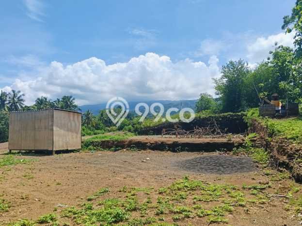 Tanah Dijual di Buleleng Seluas 930m2 Strategis Tanah Dijual di Buleleng Seluas 930m2 Strategis