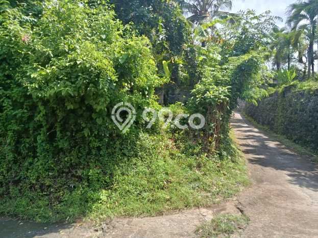 Lahan untuk Dijual di Gerokgak Buleleng Luas 5000m2 Lahan untuk Dijual di Gerokgak Buleleng Luas 5000m2