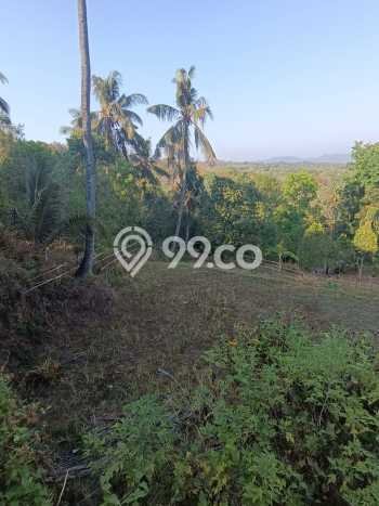 Lahan Dijual Lokasi Strategis di Buleleng dengan Luas 940m2 Lahan Dijual Lokasi Strategis di Buleleng dengan Luas 940m2