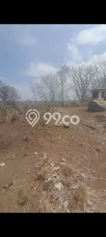 Tanah Dijual di Buleleng Seluas 2500m2 Strategis Tanah Dijual di Buleleng Seluas 2500m2 Strategis