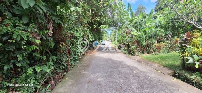 Tanah Kavling Dijual di Canggu, Badung dengan Luas Tanah 500m2 Tanah Kavling Dijual di Canggu, Badung dengan Luas Tanah 500m2