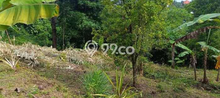 Rumah Minimalis 2 KT di Kayuputih Buleleng Unfurnished Rumah Minimalis 2 KT di Kayuputih Buleleng Unfurnished