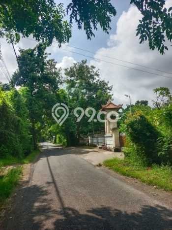 Untuk Dijual Tanah 4000m2 di Lovina, Buleleng Untuk Dijual Tanah 4000m2 di Lovina, Buleleng