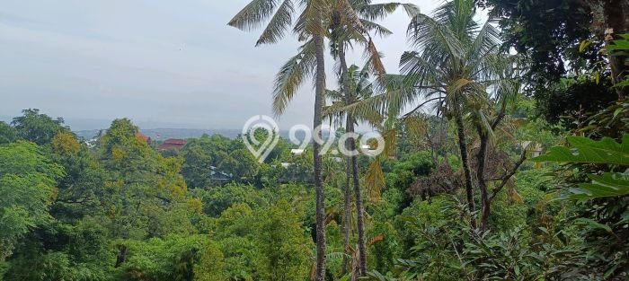 Rumah Minimalis 2 KT di Kayuputih Buleleng Unfurnished Rumah Minimalis 2 KT di Kayuputih Buleleng Unfurnished
