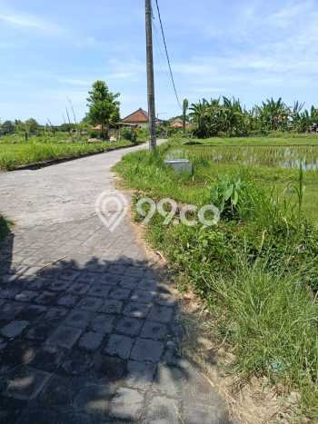 Untuk Dijual Tanah di Buleleng, Luas 3800m2 SHM Untuk Dijual Tanah di Buleleng, Luas 3800m2 SHM