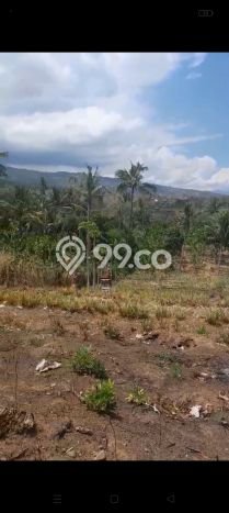 Tanah Dijual di Buleleng Seluas 2500m2 Strategis Tanah Dijual di Buleleng Seluas 2500m2 Strategis