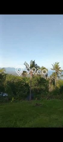 Lahan Dijual Lokasi Strategis di Buleleng dengan Luas 940m2 Lahan Dijual Lokasi Strategis di Buleleng dengan Luas 940m2