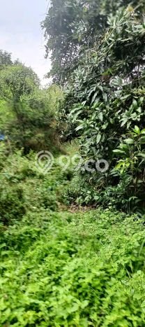Lahan untuk Dijual di Gerokgak Buleleng Luas 900m2 Lahan untuk Dijual di Gerokgak Buleleng Luas 900m2