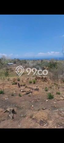 Tanah Dijual di Buleleng Seluas 2500m2 Strategis Tanah Dijual di Buleleng Seluas 2500m2 Strategis