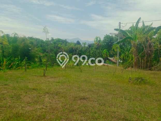 Lahan Dijual Lokasi Strategis di Buleleng dengan Luas 1200m2 Lahan Dijual Lokasi Strategis di Buleleng dengan Luas 1200m2