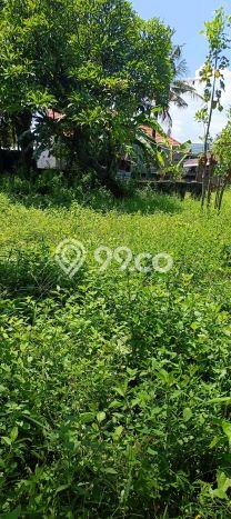 Untuk Dijual Tanah di Buleleng, Luas 1000m2 SHM Untuk Dijual Tanah di Buleleng, Luas 1000m2 SHM