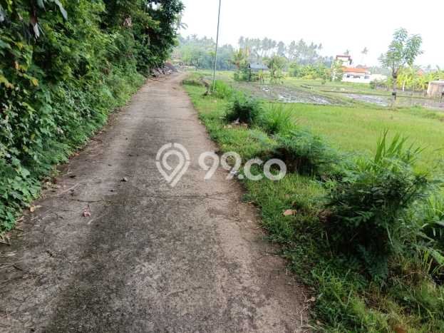 Untuk Dijual Tanah 1900m2 di Anturan, Buleleng Untuk Dijual Tanah 1900m2 di Anturan, Buleleng