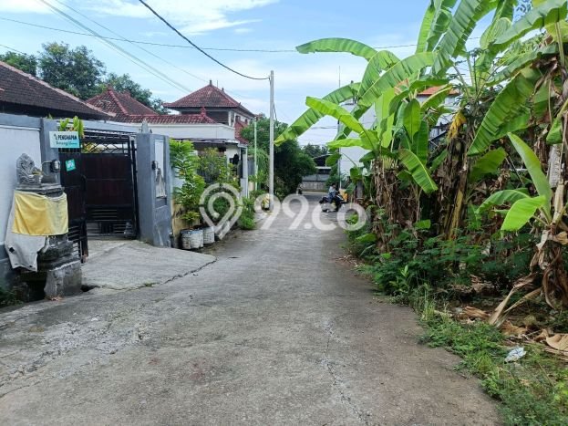 Tanah Kavling Dijual di Lovina, Buleleng dengan Luas Tanah 500m2 Tanah Kavling Dijual di Lovina, Buleleng dengan Luas Tanah 500m2