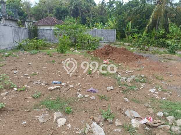 Dijual Tanah Lokasi Lovina, Buleleng Seluas 482m2 Dijual Tanah Lokasi Lovina, Buleleng Seluas 482m2