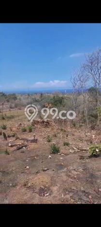 Tanah Dijual di Buleleng Seluas 2500m2 Strategis Tanah Dijual di Buleleng Seluas 2500m2 Strategis