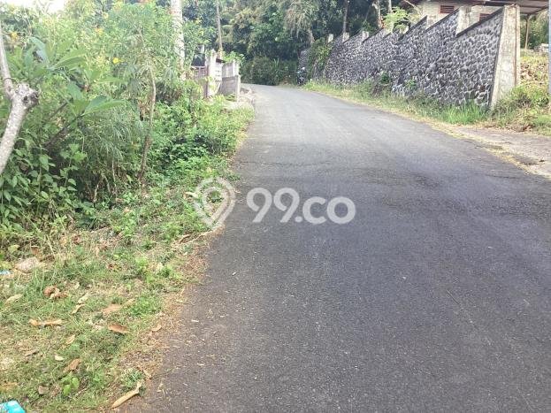 Rumah Minimalis 2 KT di Kayuputih Buleleng Unfurnished Rumah Minimalis 2 KT di Kayuputih Buleleng Unfurnished