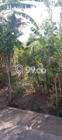 Kavling Tanah di Gerokgak Dijual Luas 1000m2 Legalitas SHM Kavling Tanah di Gerokgak Dijual Luas 1000m2 Legalitas SHM