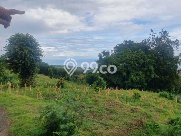 Untuk Dijual Tanah di Buleleng, Luas 1210m2 SHM Untuk Dijual Tanah di Buleleng, Luas 1210m2 SHM