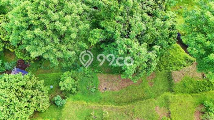 Tanah Investasi Dijual di Buleleng Punya Luas 4330m2 Tanah Investasi Dijual di Buleleng Punya Luas 4330m2