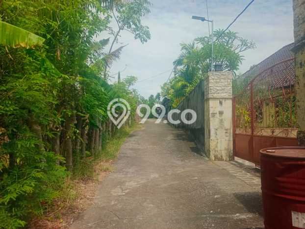 Lahan Dijual Lokasi Strategis di Buleleng dengan Luas 1200m2 Lahan Dijual Lokasi Strategis di Buleleng dengan Luas 1200m2