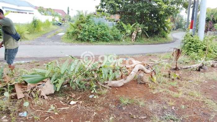 For Rent Vila Kawasan , Area 0m2m², Lokasi Strategis For Rent Vila Kawasan , Area 0m2m², Lokasi Strategis