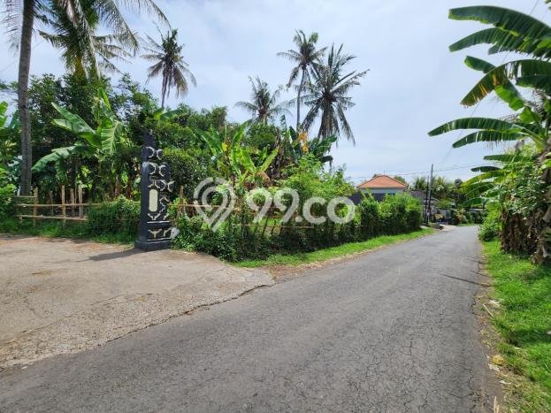 Vila Strategis Kawasan , Area 2000m2m², Dekat Buleleng, Buleleng Vila Strategis Kawasan , Area 2000m2m², Dekat Buleleng, Buleleng