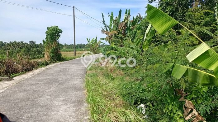 Kavling Tanah Dijual di Kerambitan, Tabanan, Luas 1760m2 Area Strategis Kavling Tanah Dijual di Kerambitan, Tabanan, Luas 1760m2 Area Strategis