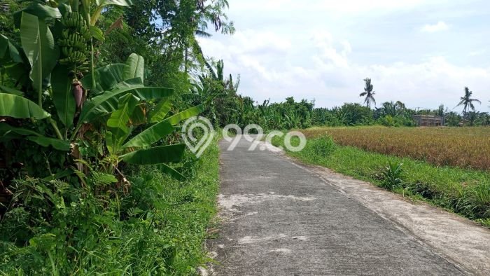 Kavling Tanah Dijual di Kerambitan, Tabanan, Luas 1760m2 Area Strategis Kavling Tanah Dijual di Kerambitan, Tabanan, Luas 1760m2 Area Strategis