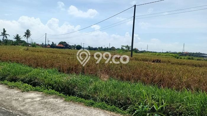 Kavling Tanah Dijual di Kerambitan, Tabanan, Luas 1760m2 Area Strategis Kavling Tanah Dijual di Kerambitan, Tabanan, Luas 1760m2 Area Strategis