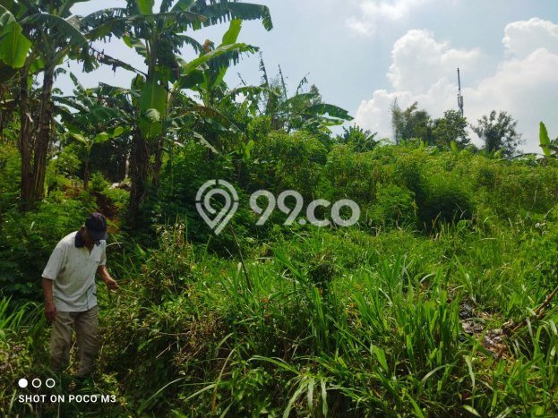 Lahan untuk Dijual Lokasi Cimenyan, Bandung Luas 3467m2 SHM Lahan untuk Dijual Lokasi Cimenyan, Bandung Luas 3467m2 SHM