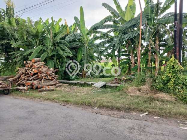 Tanah Komersial Dijual di Baki Sukoharjo 8640m2 Tanah Komersial Dijual di Baki Sukoharjo 8640m2