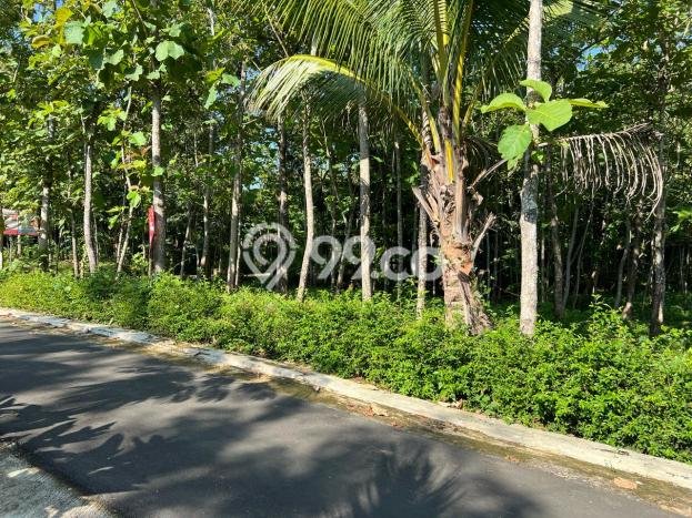 Tanah Kawasan Kerjo, Luas 1101m², Area Komersial Tanah Kawasan Kerjo, Luas 1101m², Area Komersial