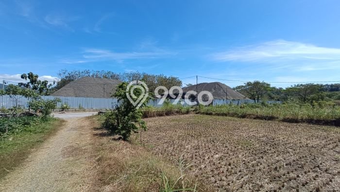 Tanah Dijual Lokasi Selogiri, Wonogiri dengan Luas Tanah 14358m2 dan Status SHM Tanah Dijual Lokasi Selogiri, Wonogiri dengan Luas Tanah 14358m2 dan Status SHM
