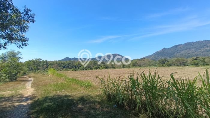 Tanah Dijual Lokasi Selogiri, Wonogiri dengan Luas Tanah 14358m2 dan Status SHM Tanah Dijual Lokasi Selogiri, Wonogiri dengan Luas Tanah 14358m2 dan Status SHM