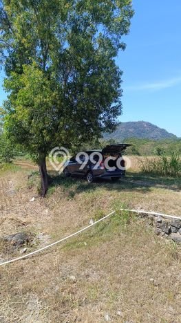 Tanah Dijual Lokasi Selogiri, Wonogiri dengan Luas Tanah 14358m2 dan Status SHM Tanah Dijual Lokasi Selogiri, Wonogiri dengan Luas Tanah 14358m2 dan Status SHM