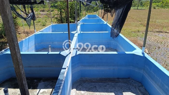 Tanah Dijual Lokasi Selogiri, Wonogiri dengan Luas Tanah 14358m2 dan Status SHM Tanah Dijual Lokasi Selogiri, Wonogiri dengan Luas Tanah 14358m2 dan Status SHM