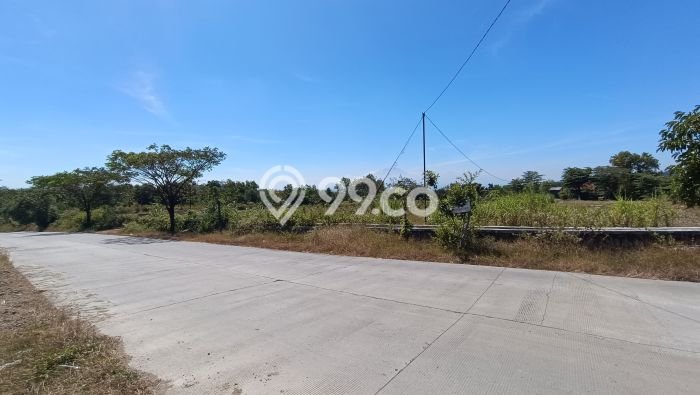 Tanah Dijual Lokasi Selogiri, Wonogiri dengan Luas Tanah 14358m2 dan Status SHM Tanah Dijual Lokasi Selogiri, Wonogiri dengan Luas Tanah 14358m2 dan Status SHM