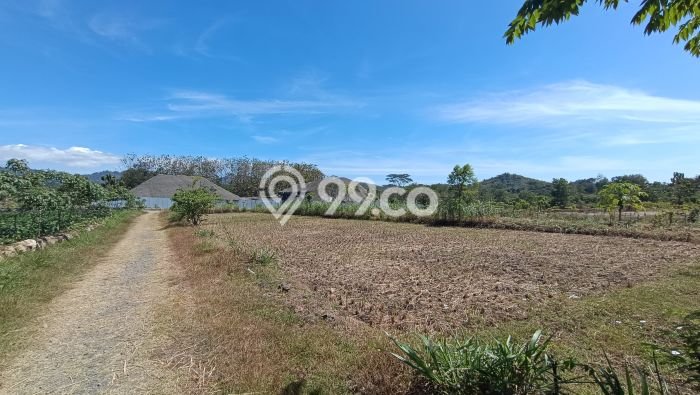 Tanah Dijual Lokasi Selogiri, Wonogiri dengan Luas Tanah 14358m2 dan Status SHM Tanah Dijual Lokasi Selogiri, Wonogiri dengan Luas Tanah 14358m2 dan Status SHM