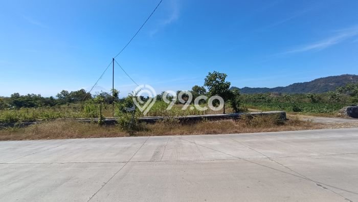Tanah Dijual Lokasi Selogiri, Wonogiri dengan Luas Tanah 14358m2 dan Status SHM Tanah Dijual Lokasi Selogiri, Wonogiri dengan Luas Tanah 14358m2 dan Status SHM