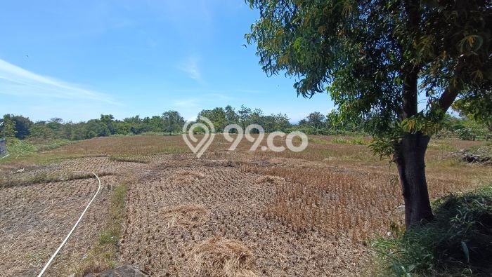 Tanah Dijual Lokasi Selogiri, Wonogiri dengan Luas Tanah 14358m2 dan Status SHM Tanah Dijual Lokasi Selogiri, Wonogiri dengan Luas Tanah 14358m2 dan Status SHM