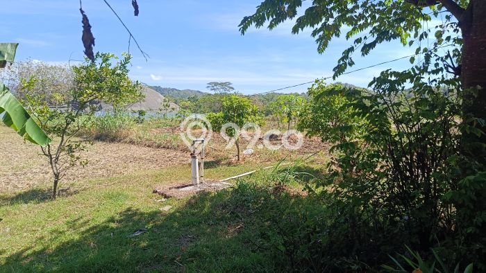 Tanah Dijual Lokasi Selogiri, Wonogiri dengan Luas Tanah 14358m2 dan Status SHM Tanah Dijual Lokasi Selogiri, Wonogiri dengan Luas Tanah 14358m2 dan Status SHM